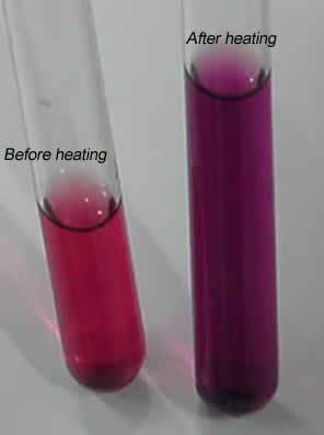 The red soltuion on the left is heated and turns blue.
