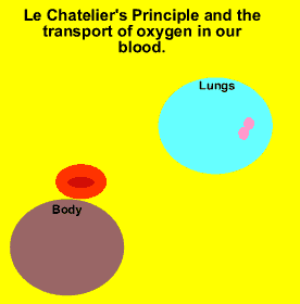 Oxygen exchange in the body.Red blood cells carry the oxygen bound to a protein called haemoglobin.