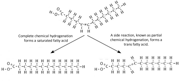 polyunsaturated fat vs trans fat