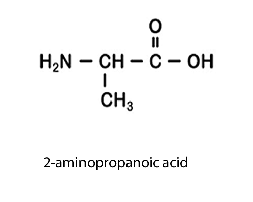 Amino group as substituent