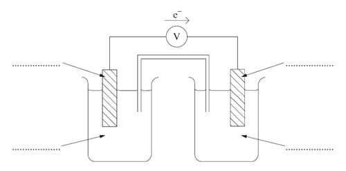 blank galvanic cell