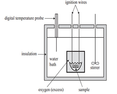 food calorimeter