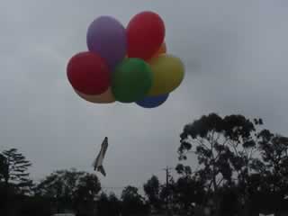 A spectacular way to launch the gliders. Click to see an 80kb movie.
